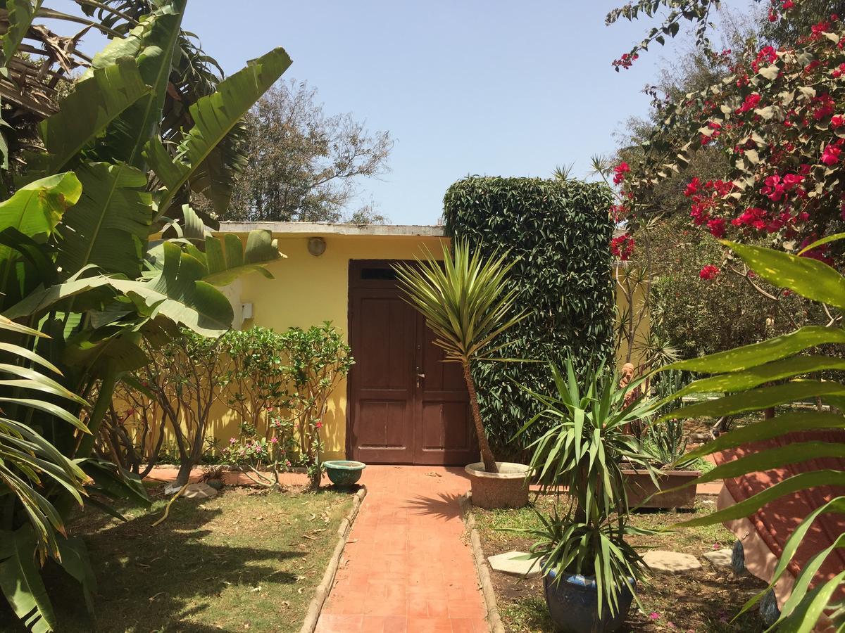 Beaux A Dakar
